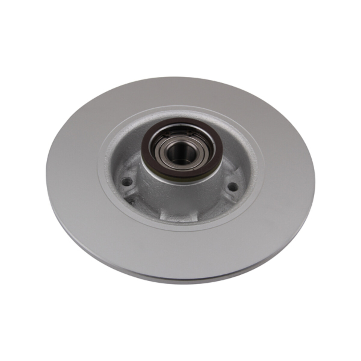 BRAKE DISC X1 WITH BR REN CLIO III RR